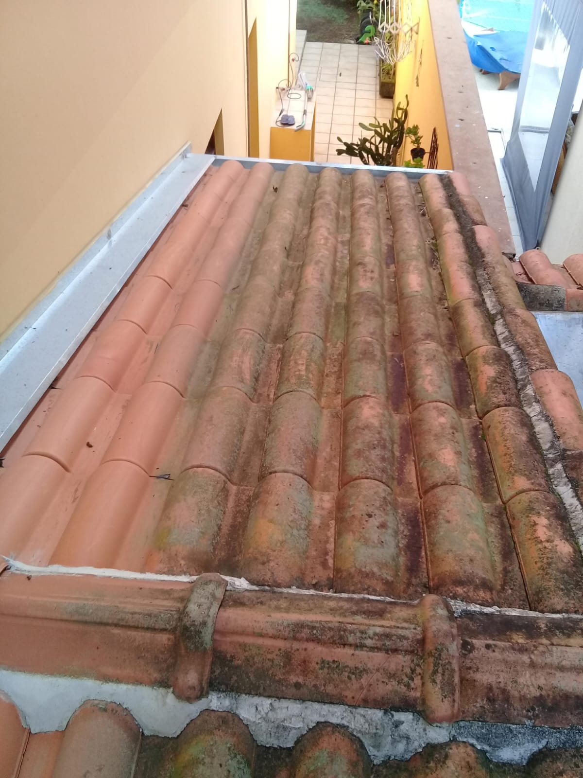 Telhado residencial de barro com sujeira, musgo e manchas visíveis, evidenciando a necessidade de lavagem profissional.